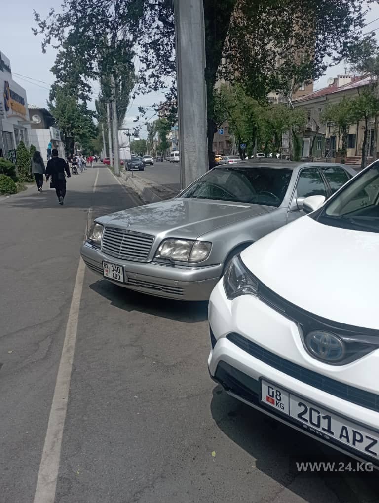 Чудаки парковки