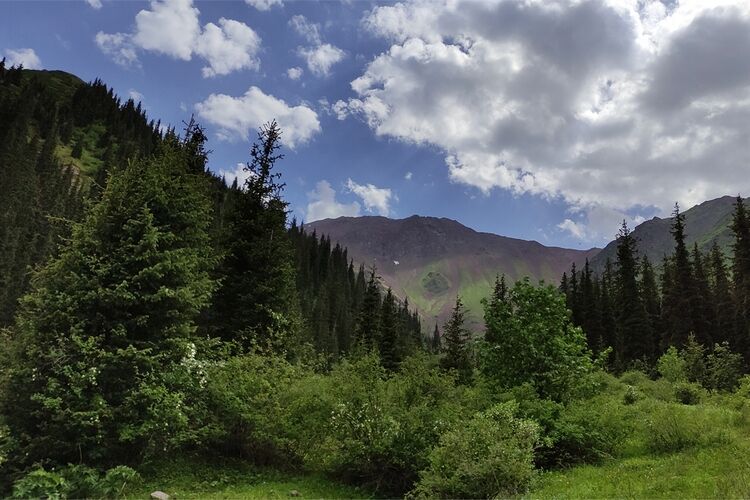 Ущелье Шамси
