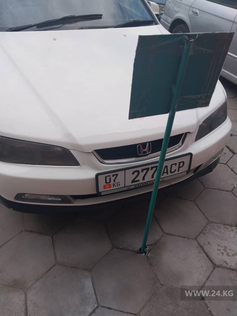 Чудаки парковки