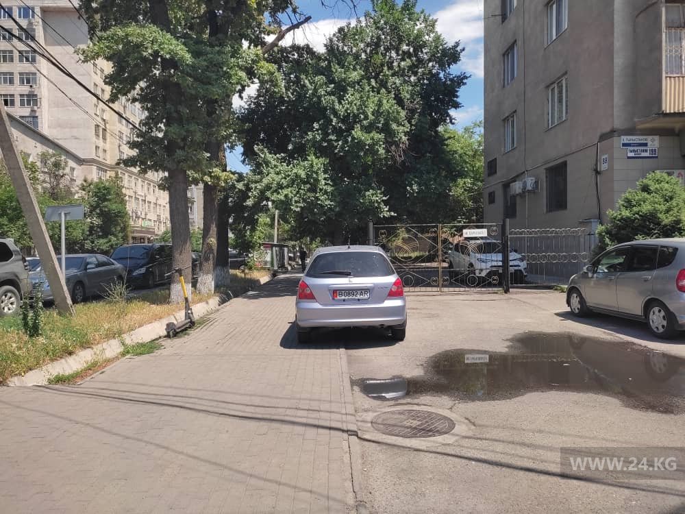 Чудаки парковки
