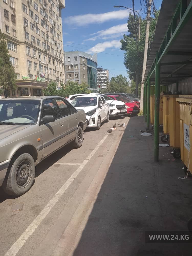 Чудаки парковки