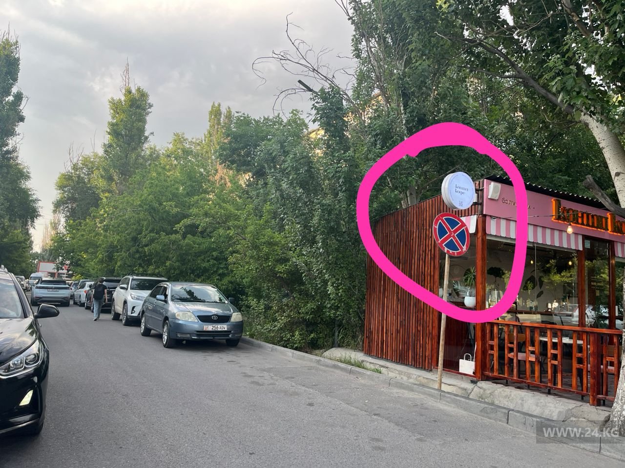 Чудаки парковки