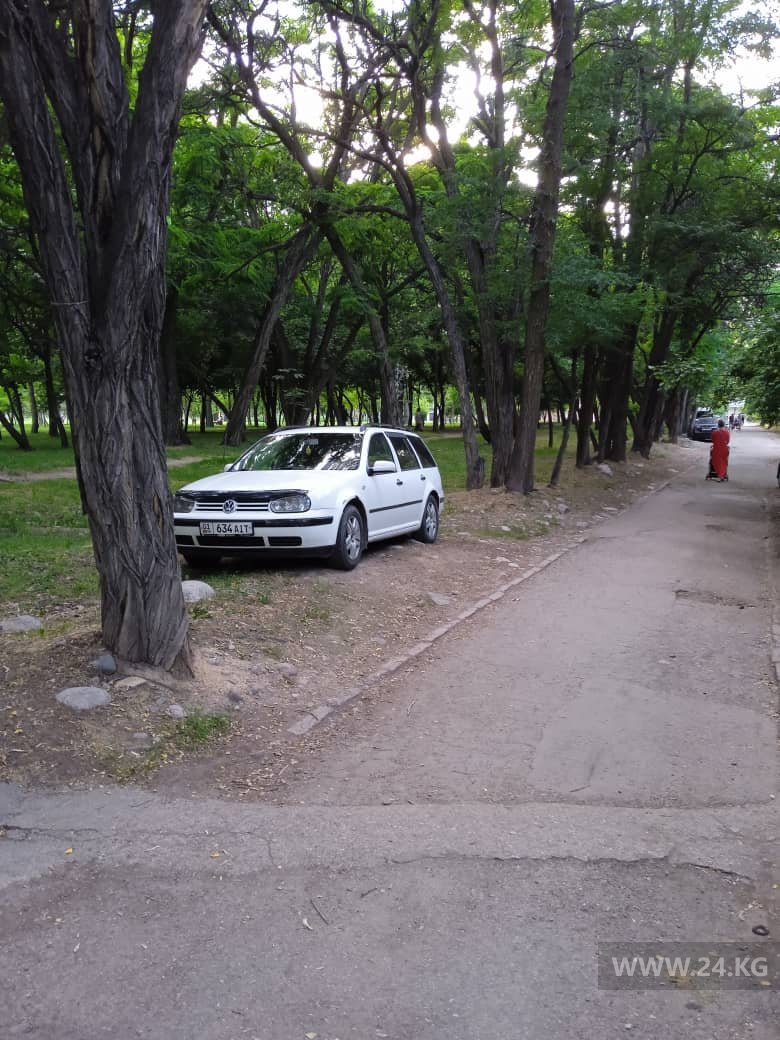 Чудаки парковки