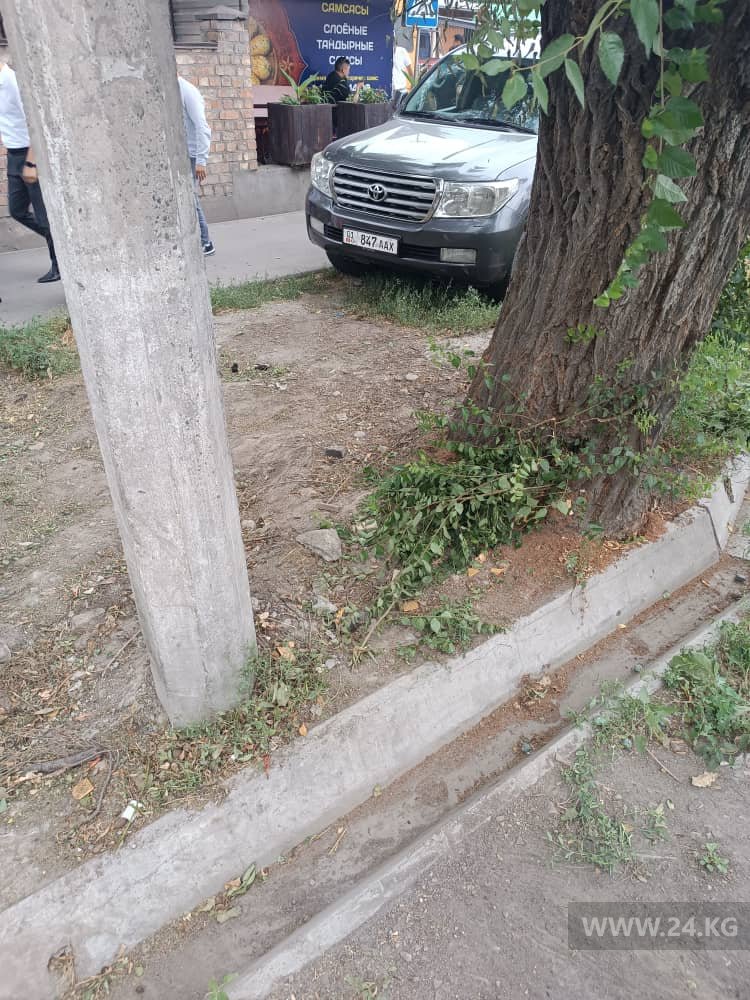 Чудаки парковки