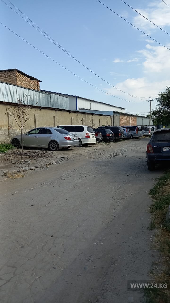 Чудаки парковки