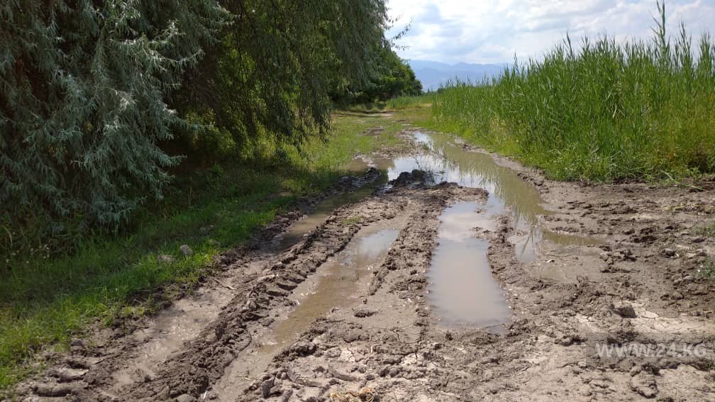 Дорога к урожаю
