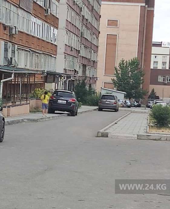 Чудаки парковки