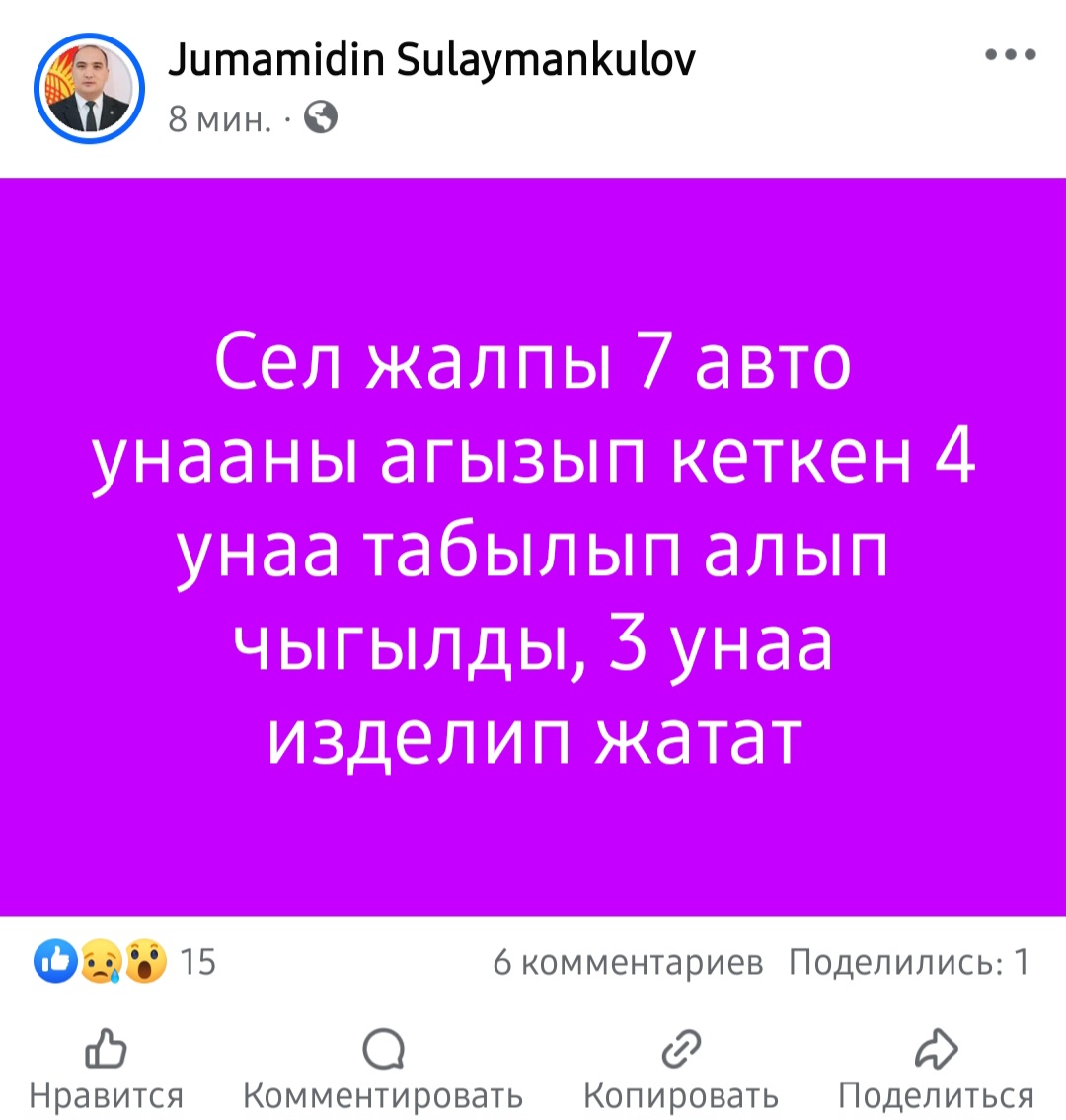 Публикация Жумамидина Сулайманкулова