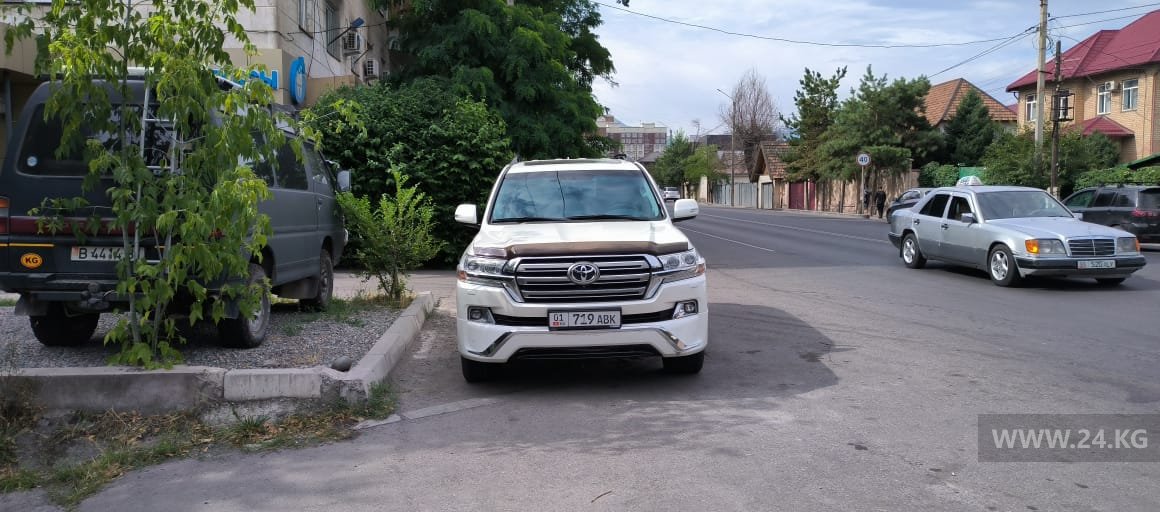 Чудаки парковки