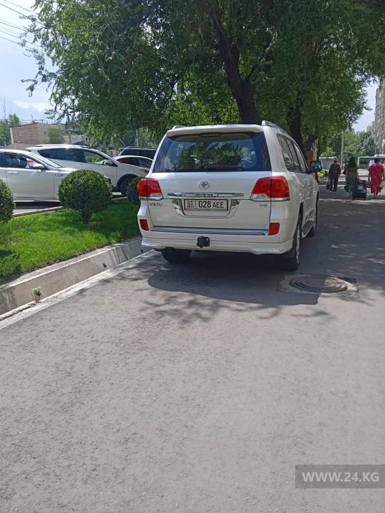 Чудаки парковки