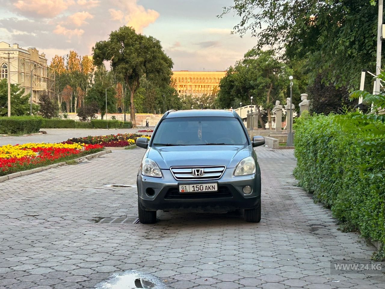 Чудаки парковки