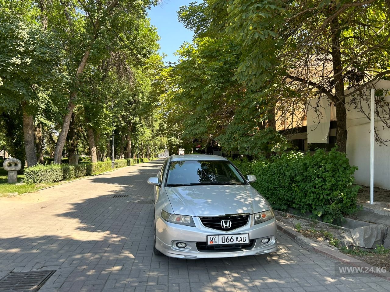 Чудаки парковки