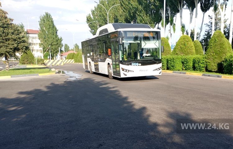 Теперь из аэропорта можно доехать на муниципальном автобусе