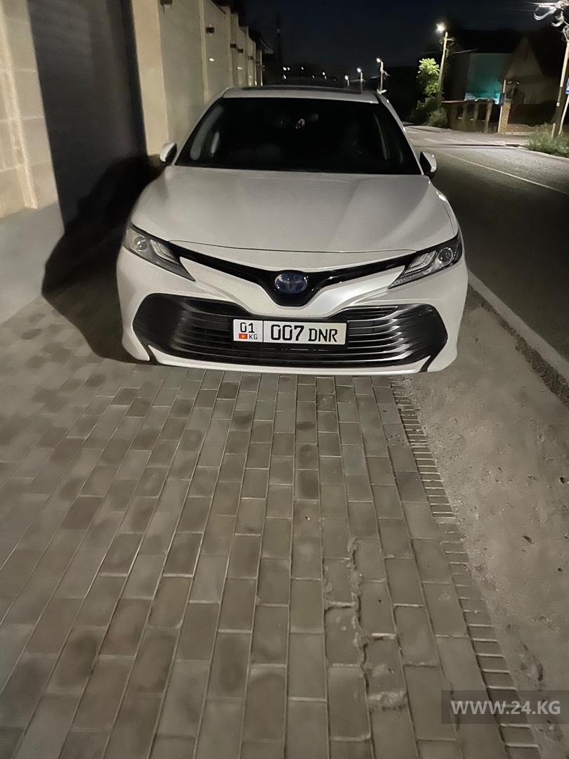 Чудаки парковки
