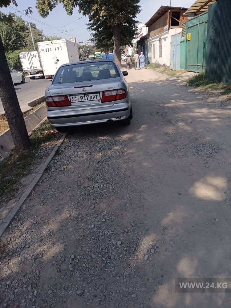 Чудаки парковки