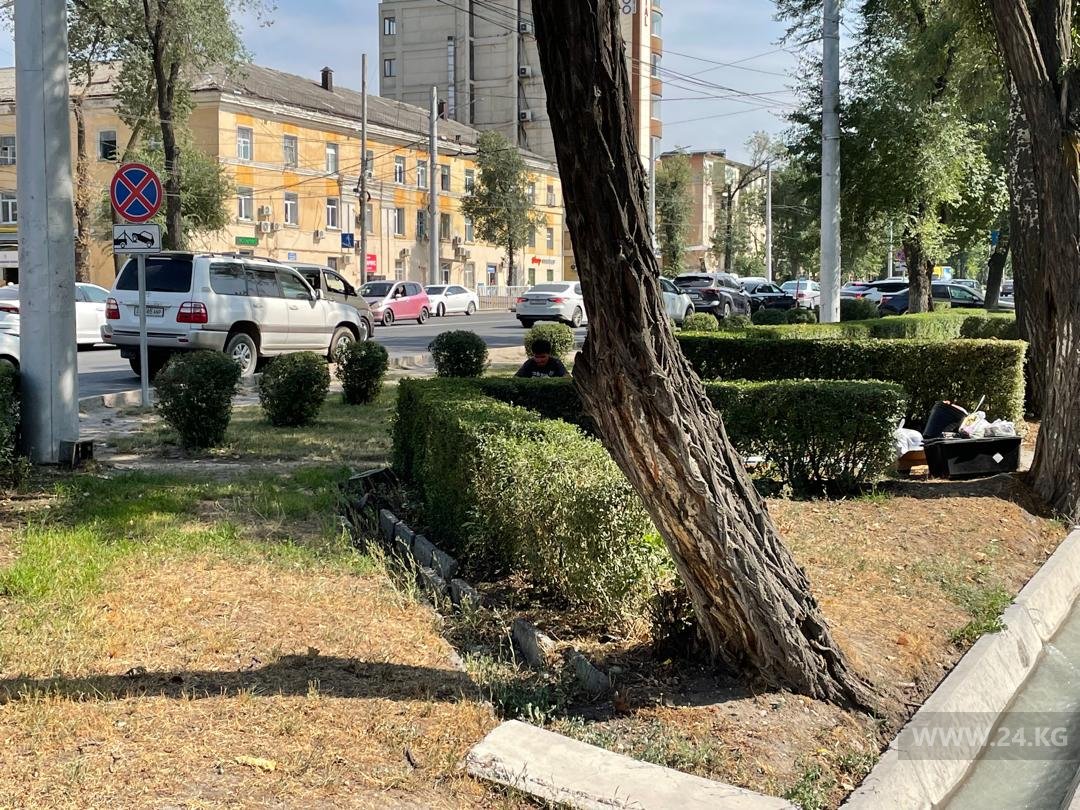 Чудаки парковки