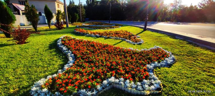 Бишкек, жаркое утро