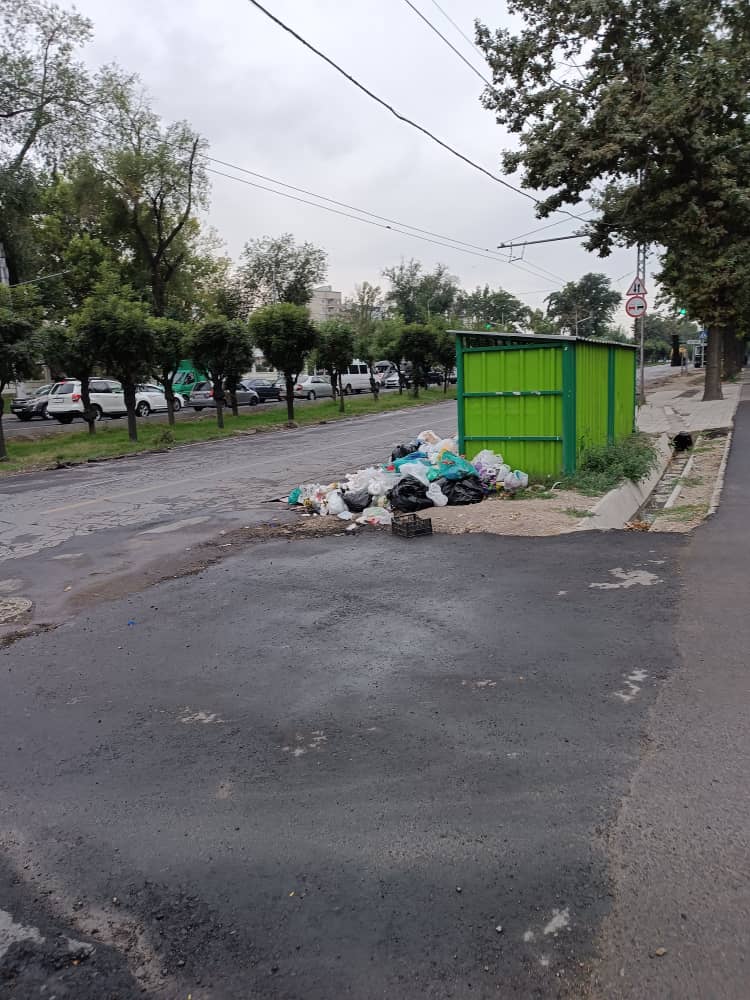 Так выглядит мусорная площадка на проспекте Жибек Жолу