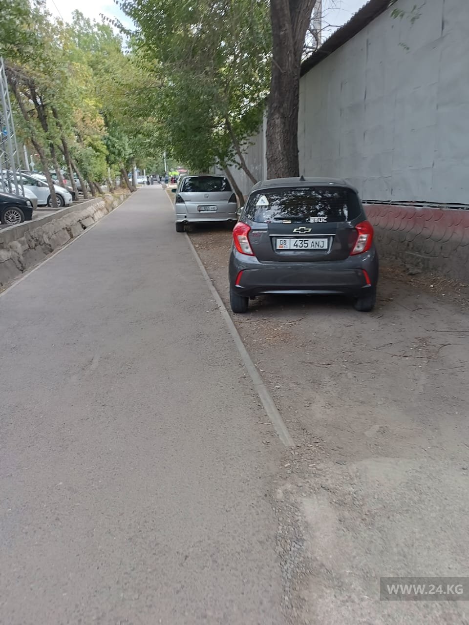 Чудаки парковки
