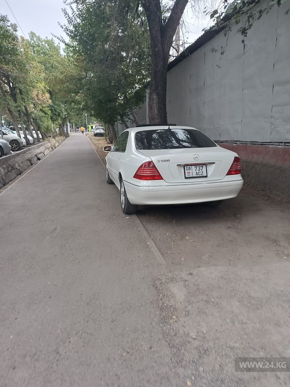 Чудаки парковки