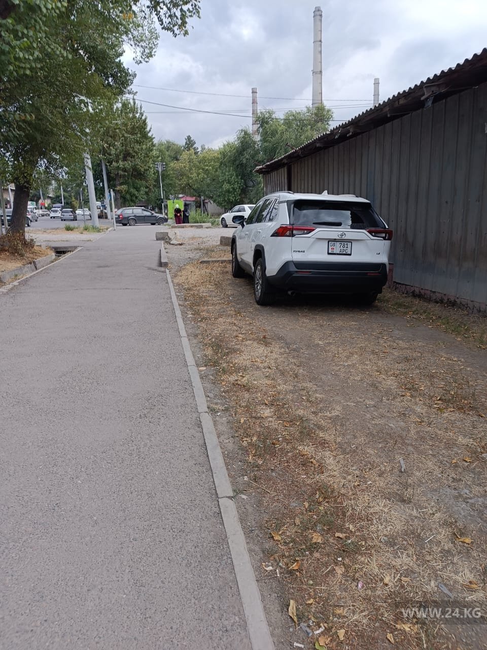 Чудаки парковки