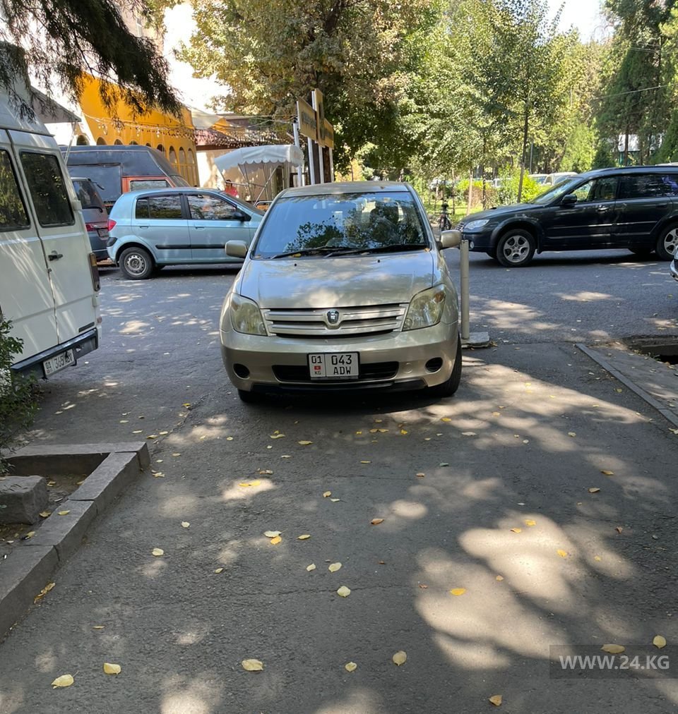 Чудаки парковки