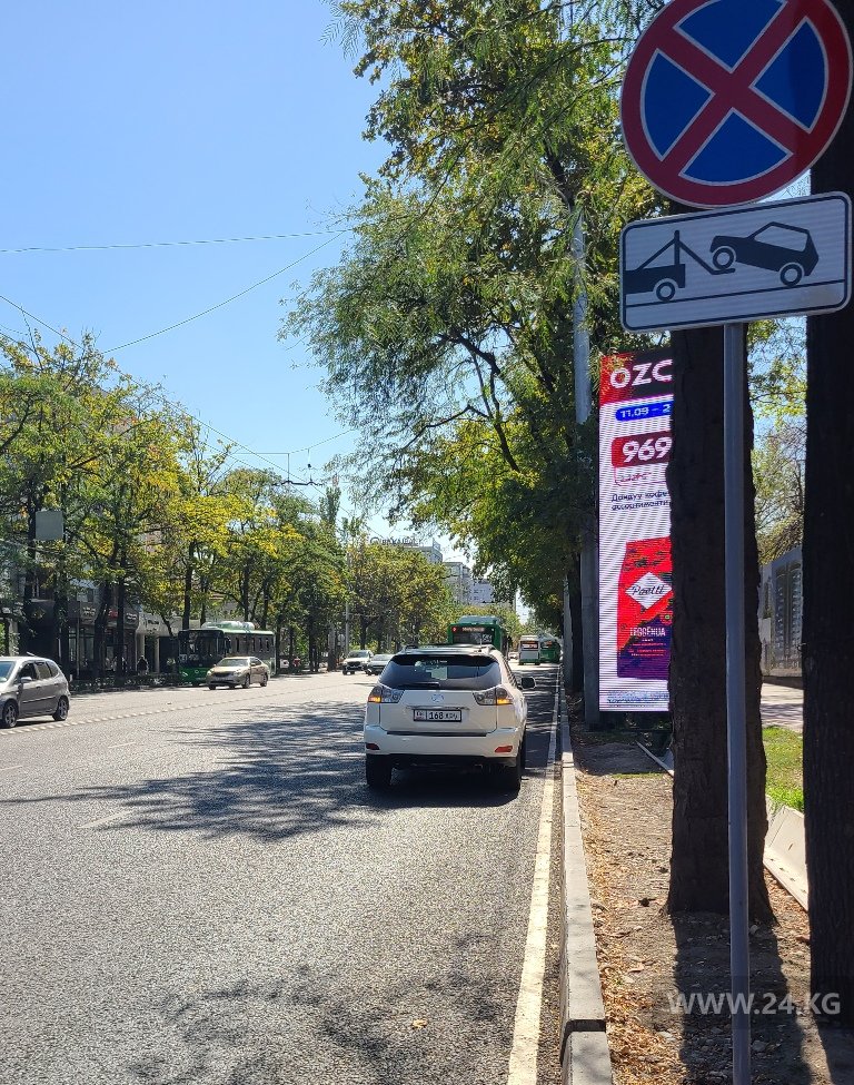 Чудаки парковки