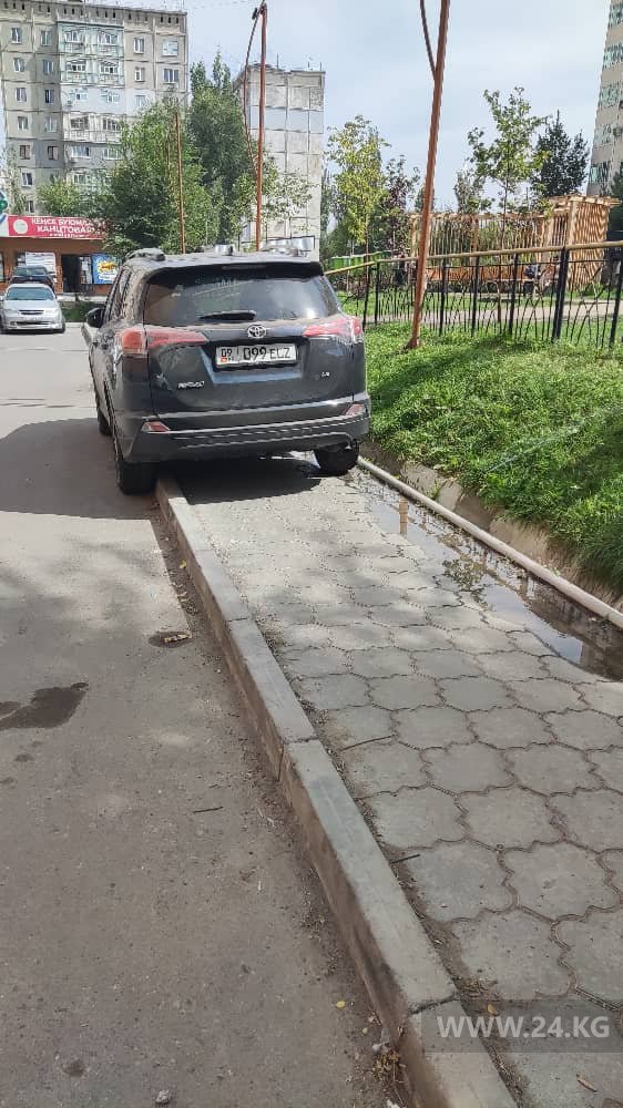 Чудаки парковки