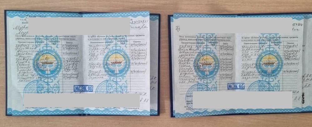 Поддельные дипломы
