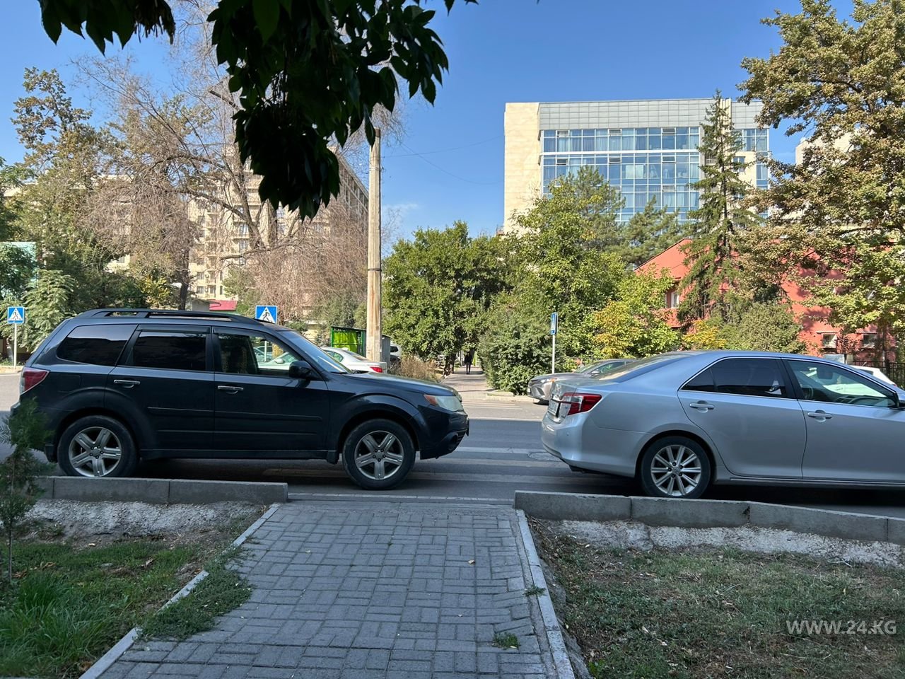 Чудаки парковки