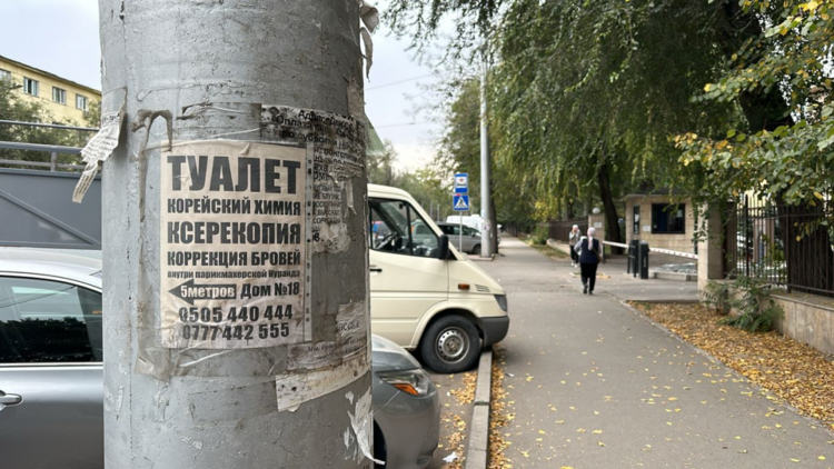 Муниципальная инспекция штрафует за размещение рекламы в неустановленных местах