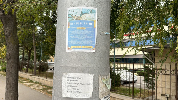 Муниципальная инспекция штрафует за размещение рекламы в неустановленных местах