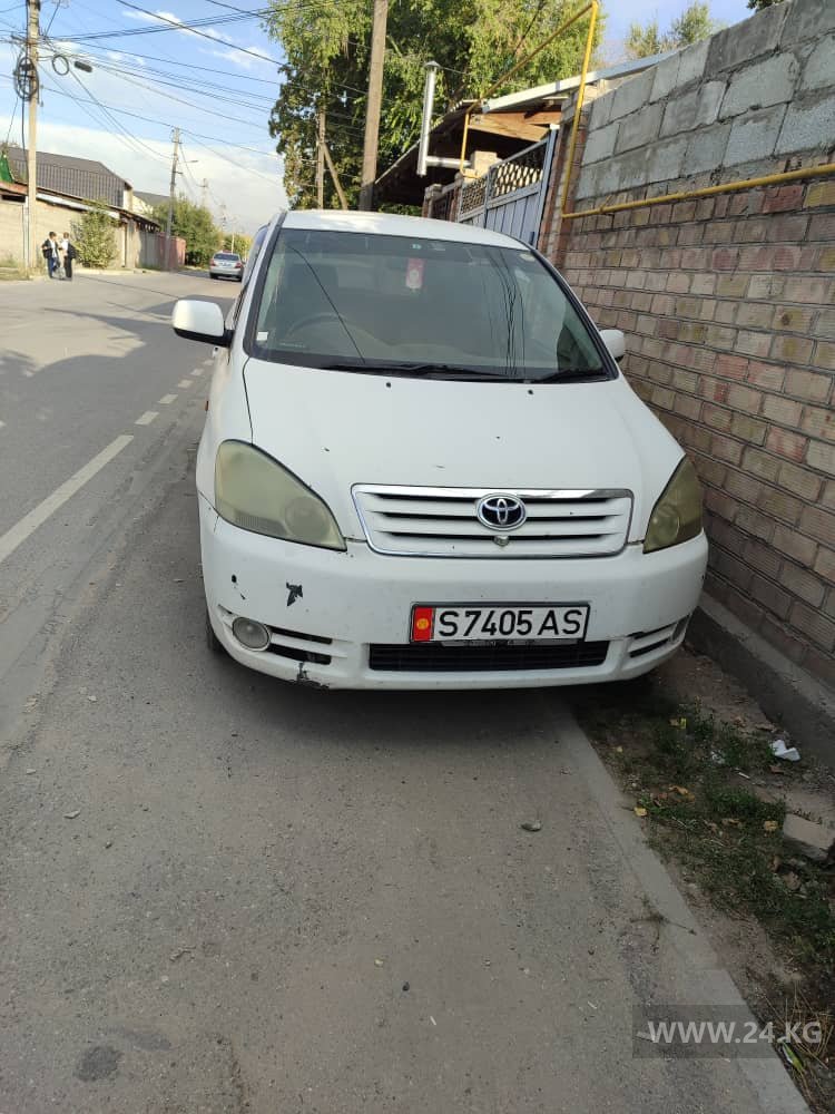 Чудаки парковки
