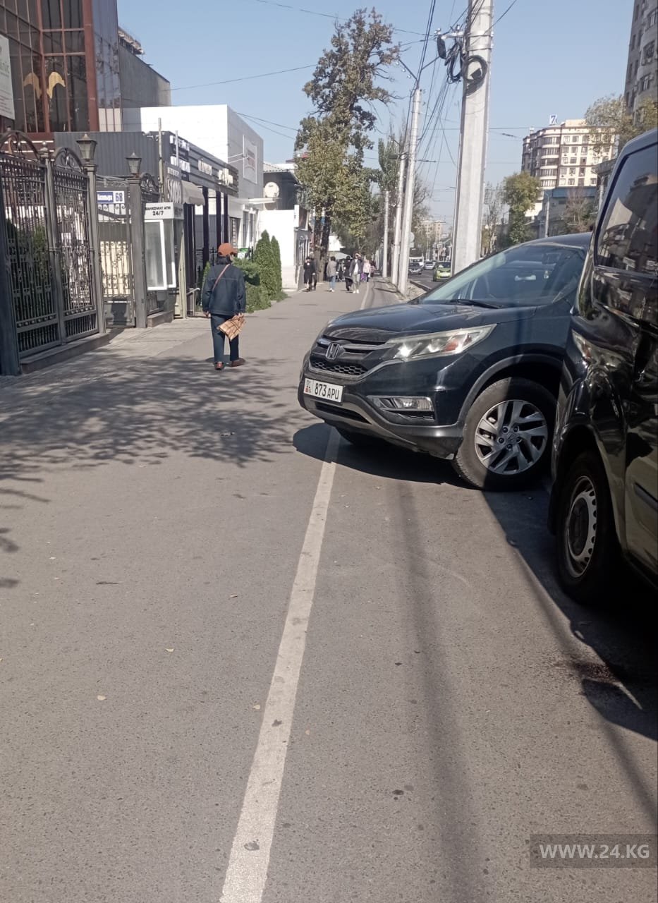 Чудаки парковки