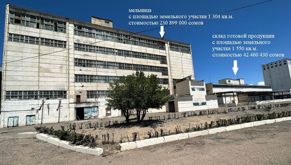 Мукомольный завод в Балыкчи