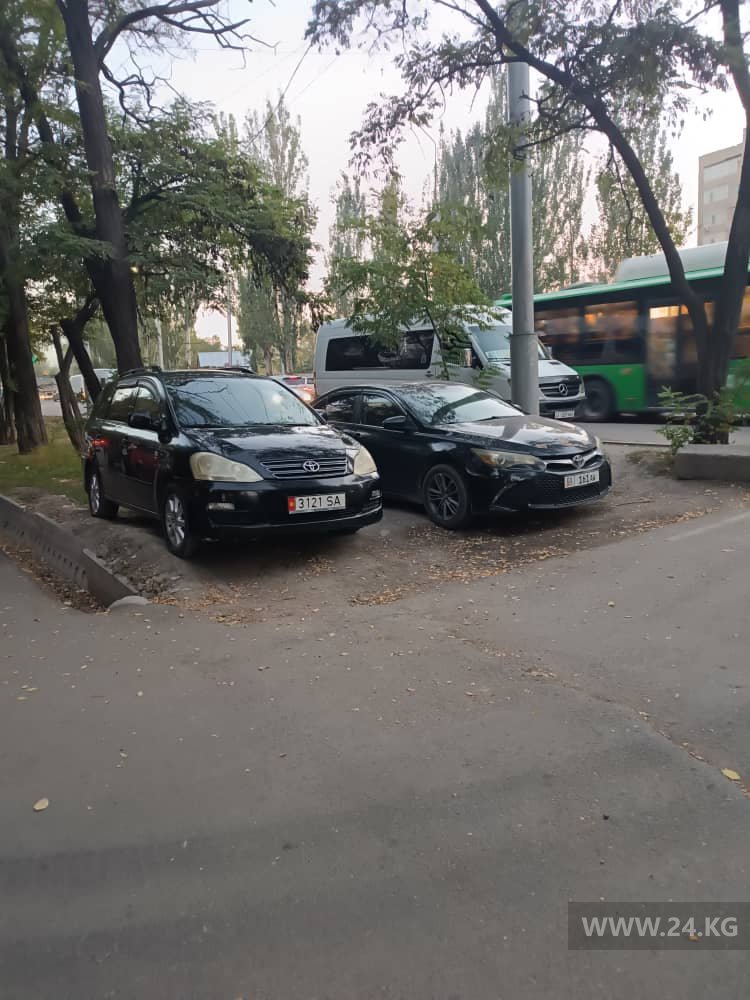 Чудаки парковки