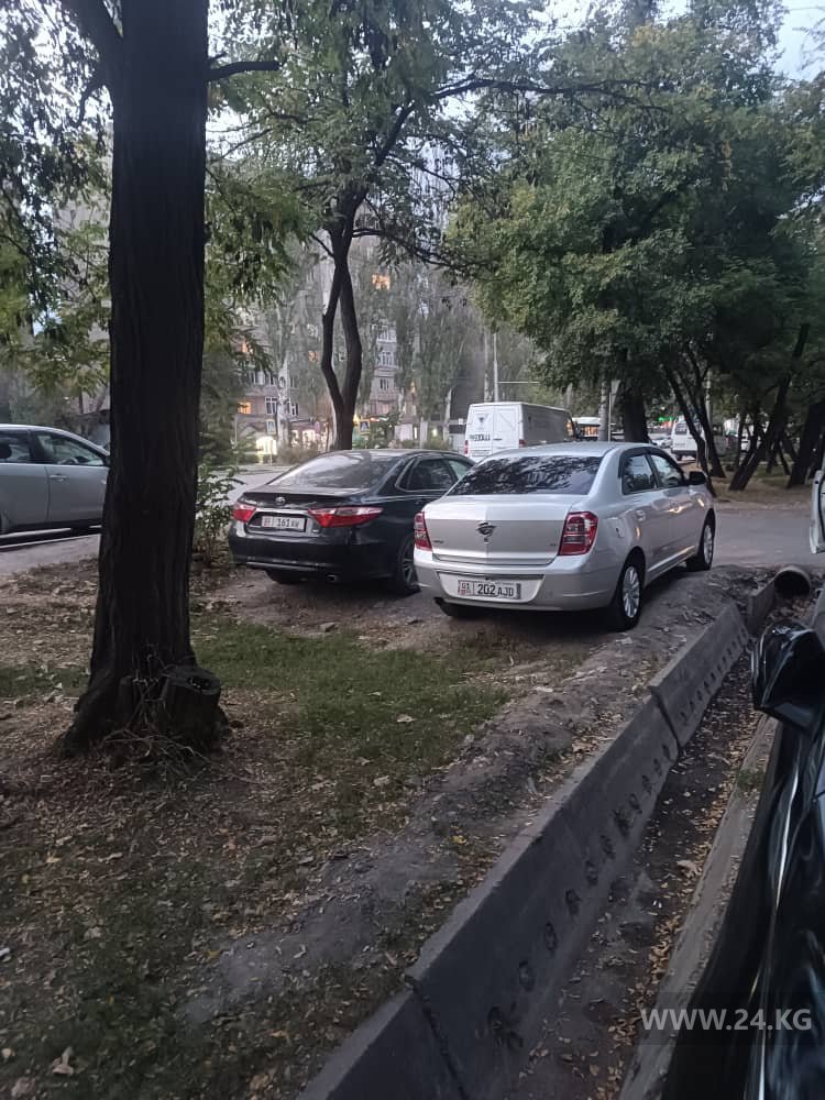 Чудаки парковки