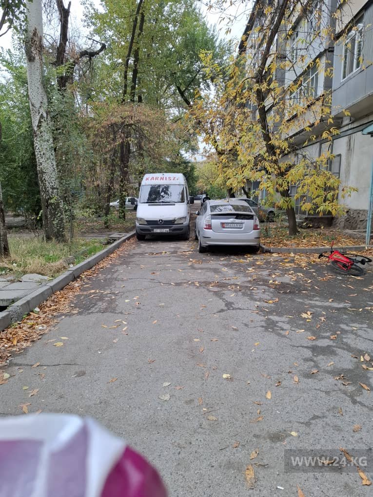 Чудаки парковки
