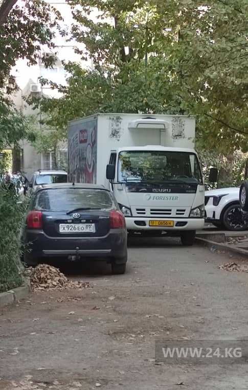 Чудаки парковки