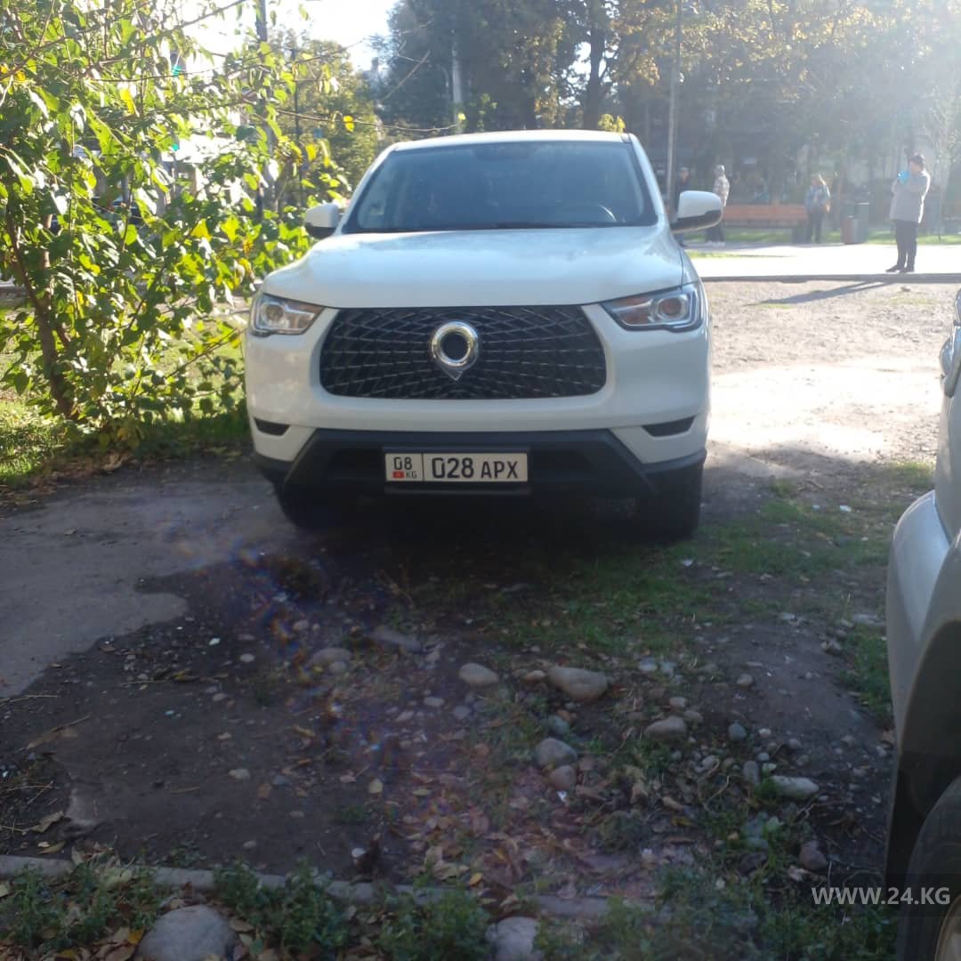 Чудаки парковки