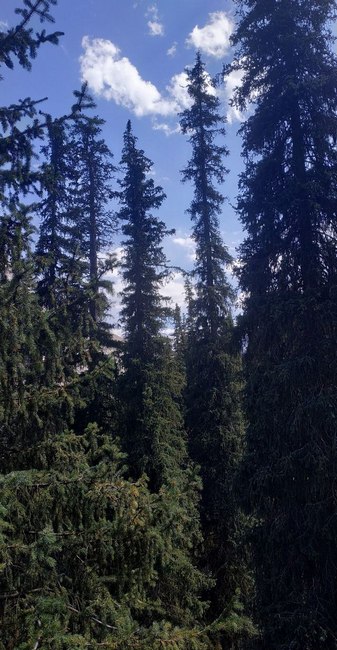 Ущелье Барскоон