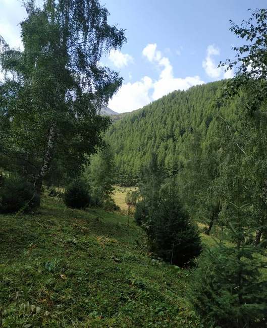 Чункурчак
