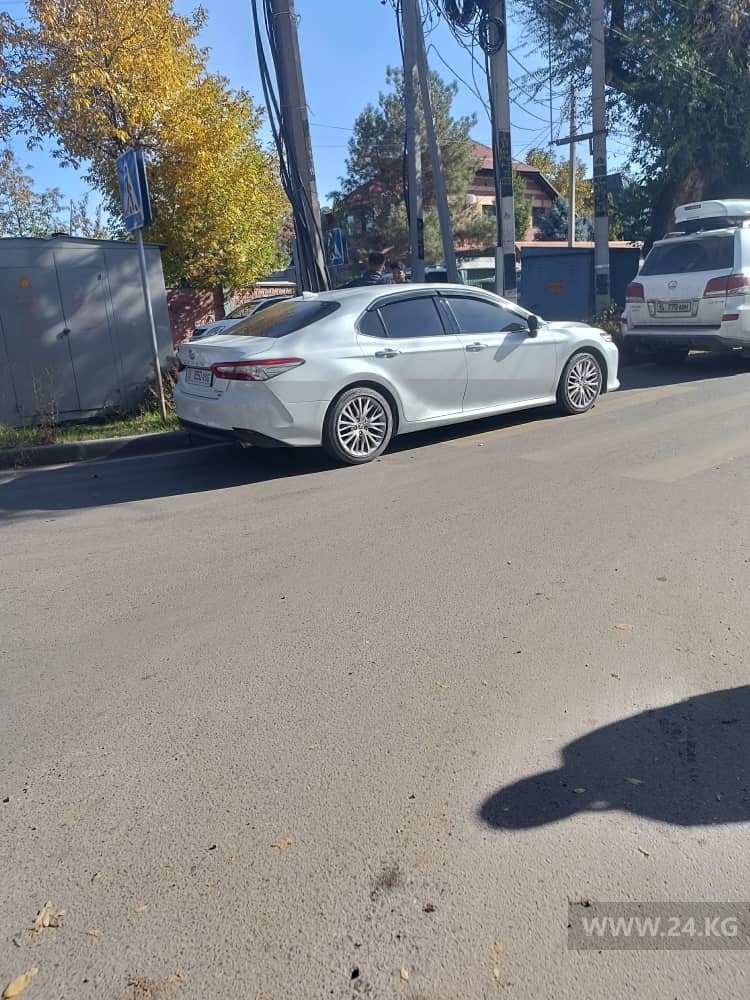 Чудаки парковки