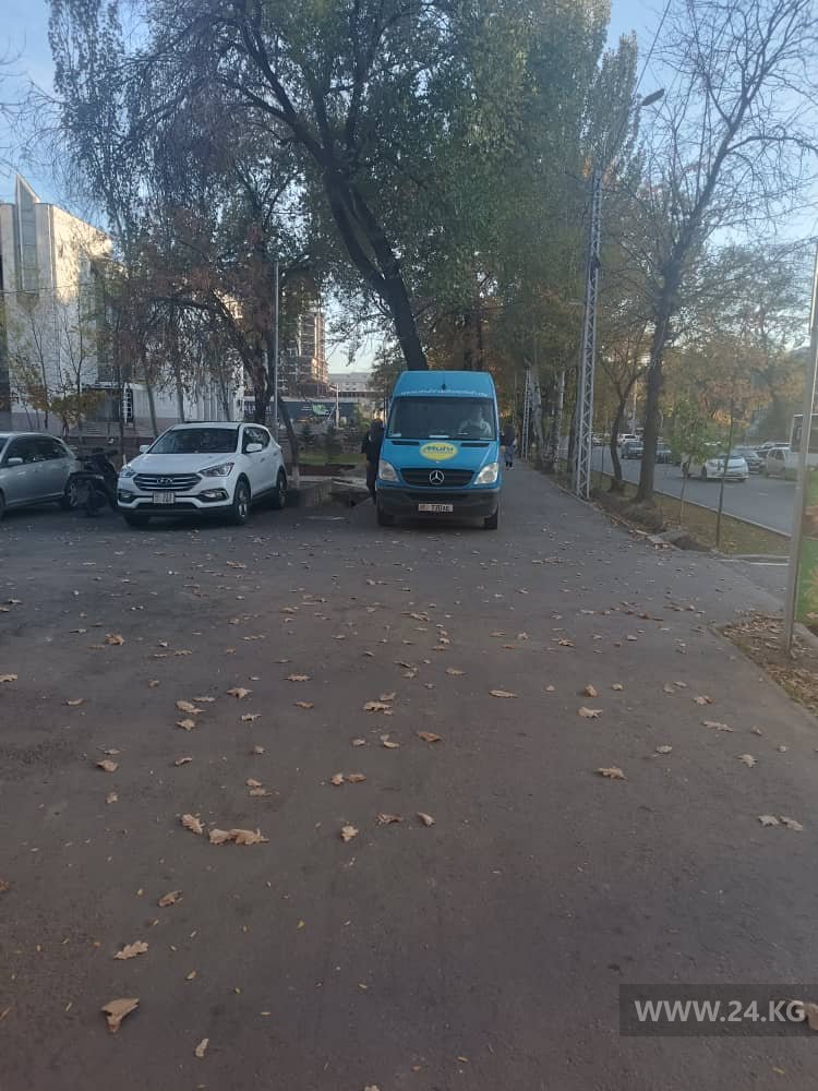 Чудаки парковки