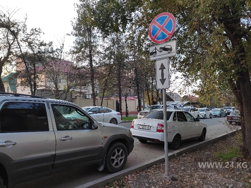 Чудаки парковки