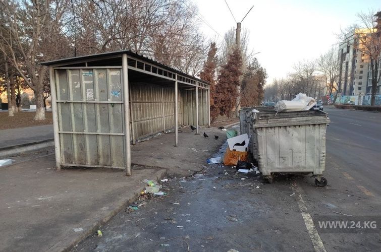 В правила благоустройства внесли изменения, касающиеся всех физических и юридических лиц столицы, относительно выноса мусора