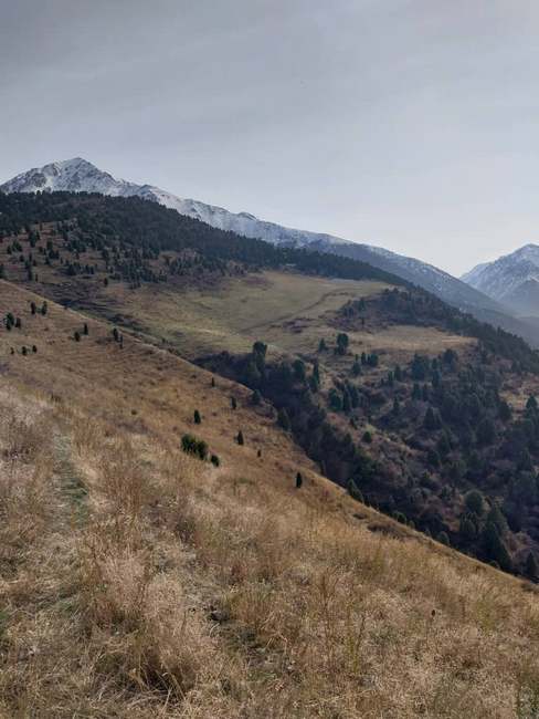 Урочище Бойрок
