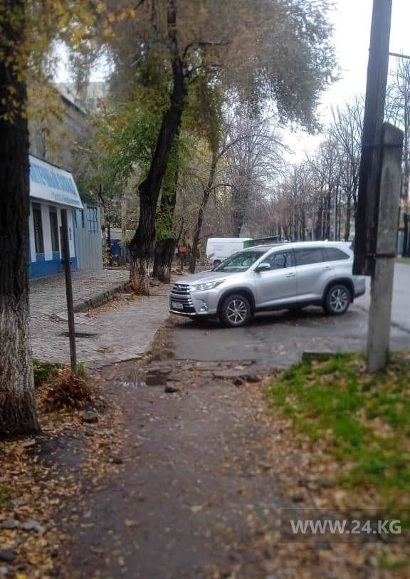 Чудаки парковки