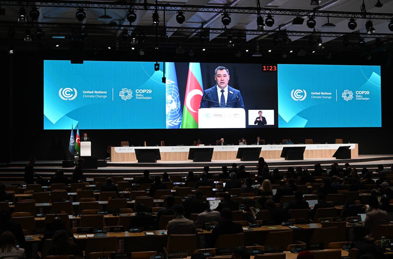 COP29