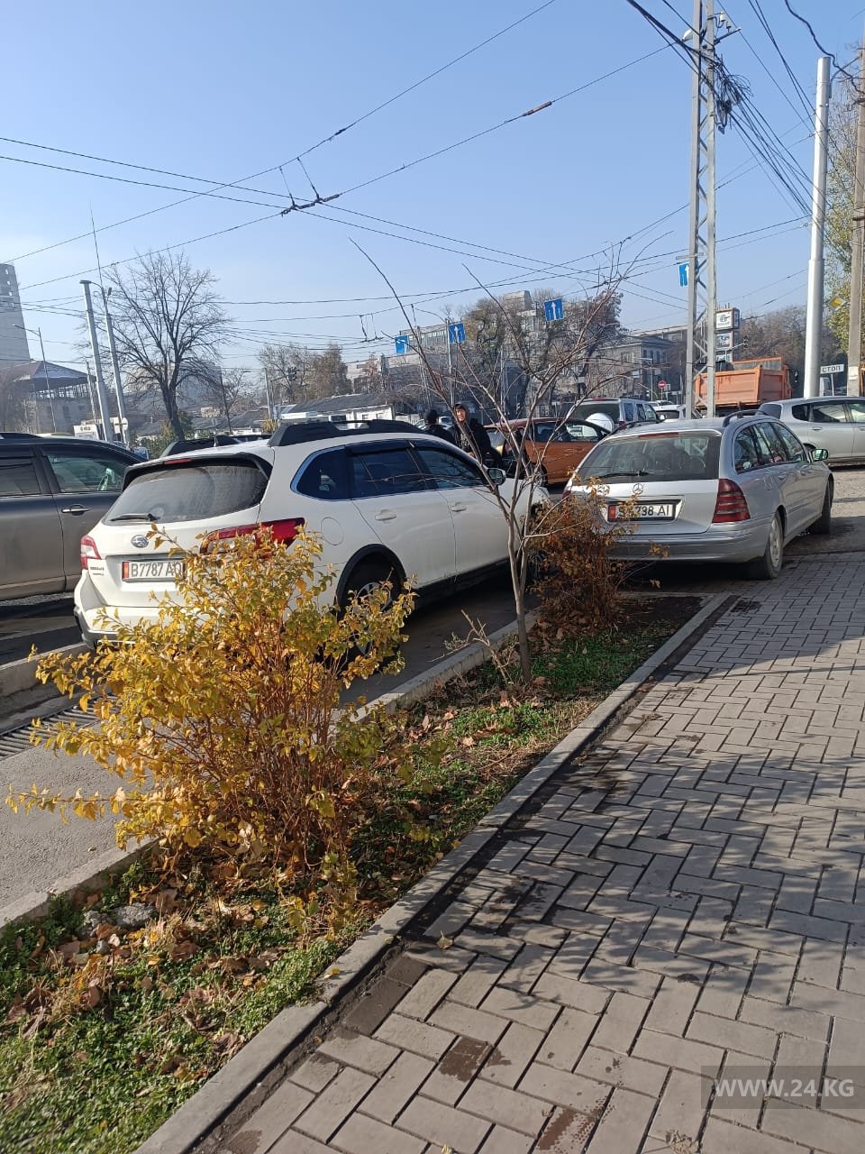 Чудаки парковки
